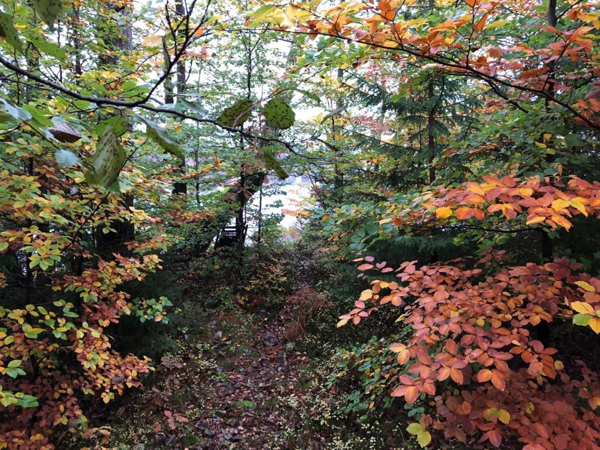 Naturskoent Boende Vid Sjoe Skanes Fagerhult Exterior photo